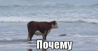 Korovka